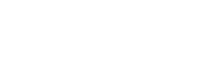 Veilfire