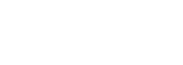 Veilfire Logo