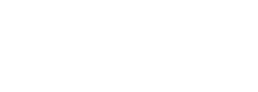 Veilfire logo